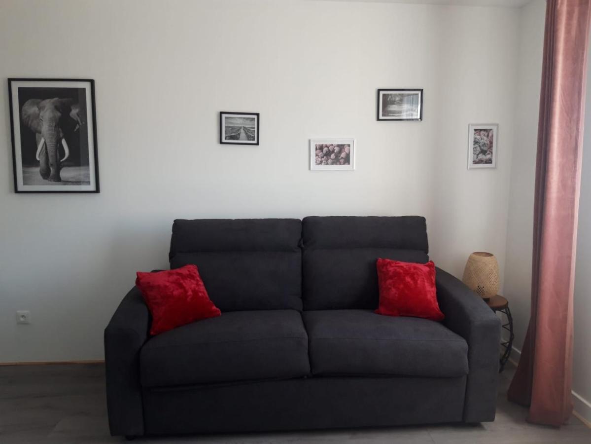 Gambetta Insolite Apartment Chambery Exterior photo